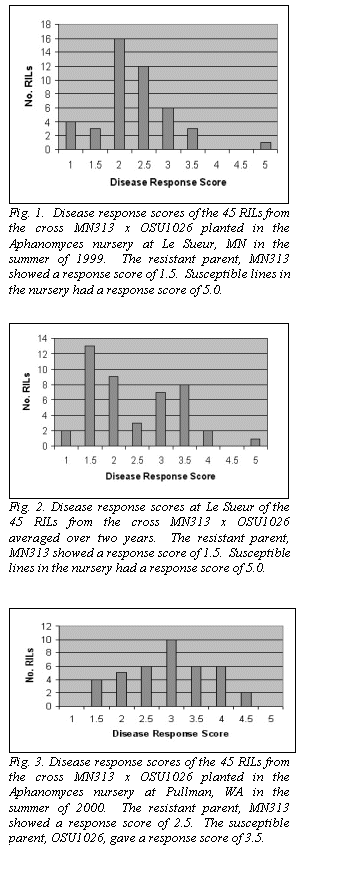 Text Box:  
Fig. 1.  Disease response scores of the 45 RILs from the cross MN313 x OSU1026 planted in the Aphanomyces nursery at Le Sueur, MN in the summer of 1999.  The resistant parent, MN313 showed a response score of 1.5.  Susceptible lines in the nursery had a response score of 5.0.




 
Fig. 2. Disease response scores at Le Sueur of the 45 RILs from the cross MN313 x OSU1026 averaged over two years.  The resistant parent, MN313 showed a response score of 1.5.  Susceptible lines in the nursery had a response score of 5.0.




 
Fig. 3. Disease response scores of the 45 RILs from the cross MN313 x OSU1026 planted in the Aphanomyces nursery at Pullman, WA in the summer of 2000.  The resistant parent, MN313 showed a response score of 2.5.  The susceptible  parent, OSU1026, gave a response score of 3.5.

