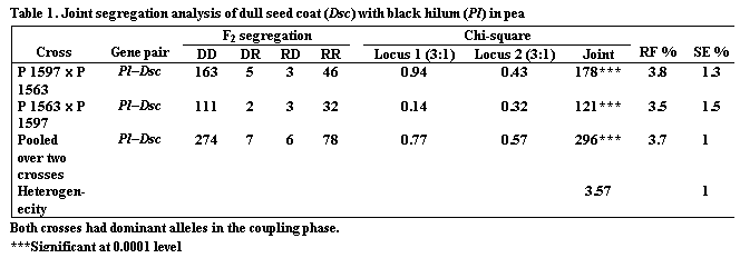Подпись: Table 1. Joint segregation analysis of dull seed coat (Dsc) with black hilum (Pl) in pea

Cross	Gene pair	F2 segregation		Chi-square	RF %	SE %
		DD	DR	RD	RR		Locus 1 (3:1)	Locus 2 (3:1)	Joint		
P 1597 x P 1563	PlDsc	163	5	3	46		0.94	0.43	178***	3.8	1.3
P 1563 x P 1597	PlDsc 	111	2	3	32		0.14	0.32	121***	3.5	1.5
Pooled over two crosses	PlDsc	274	7	6	78		0.77	0.57	296***	3.7	1.0
Heterogen-ecity									3.57		1.0

Both crosses had dominant alleles in the coupling phase.
***Significant at 0.0001 level
