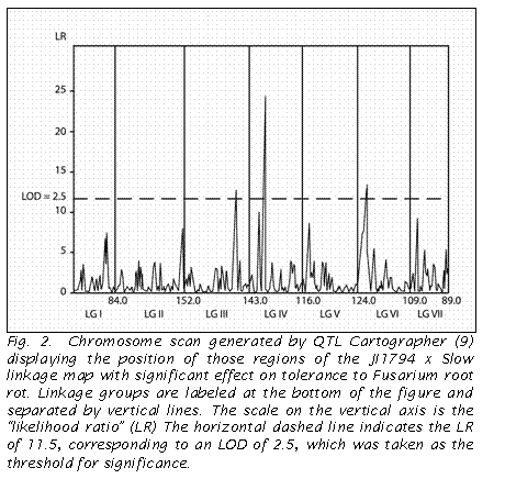 Text Box:  
Fig. 2.  Chromosome scan generated by QTL Cartographer (9) displaying the position of those regions of the JI1794 x Slow linkage map with significant effect on tolerance to Fusarium root rot. Linkage groups are labeled at the bottom of the figure and separated by vertical lines. The scale on the vertical axis is the likelihood ratio (LR) The horizontal dashed line indicates the LR of 11.5, corresponding to an LOD of 2.5, which was taken as the threshold for significance.

